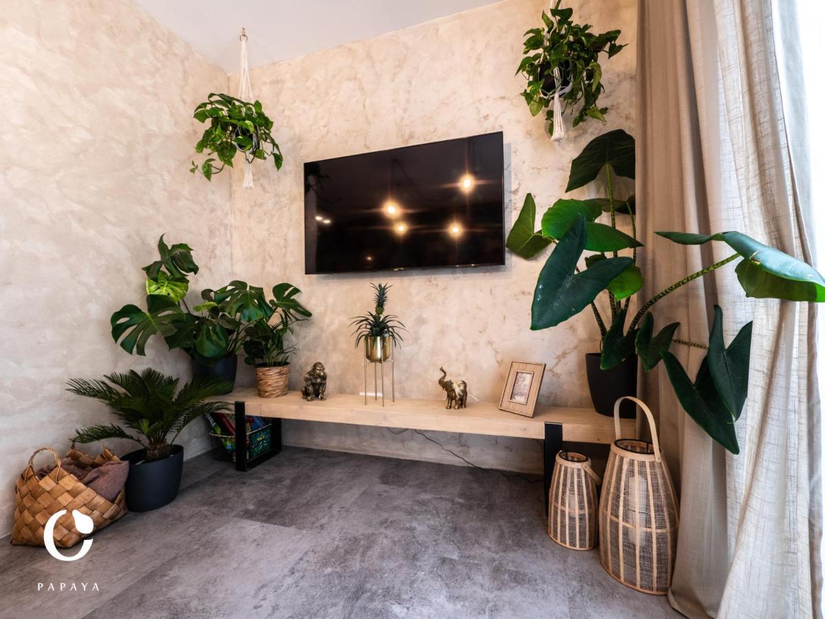Jumbo Apartment
